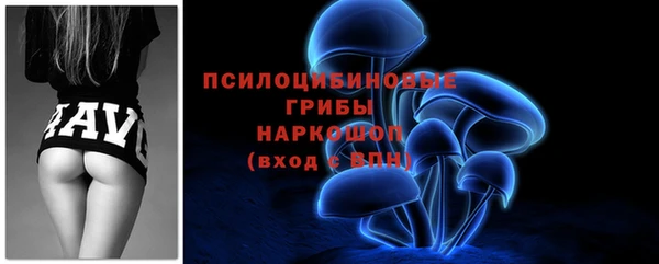 скорость Алзамай
