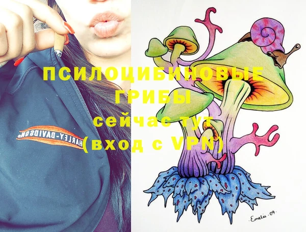 дурь Абаза