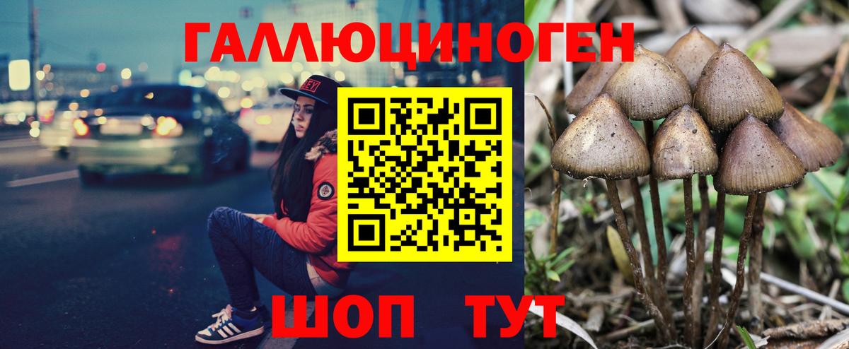 Псилоцибиновые грибы мицелий  Вход с VPN  Северодвинск 